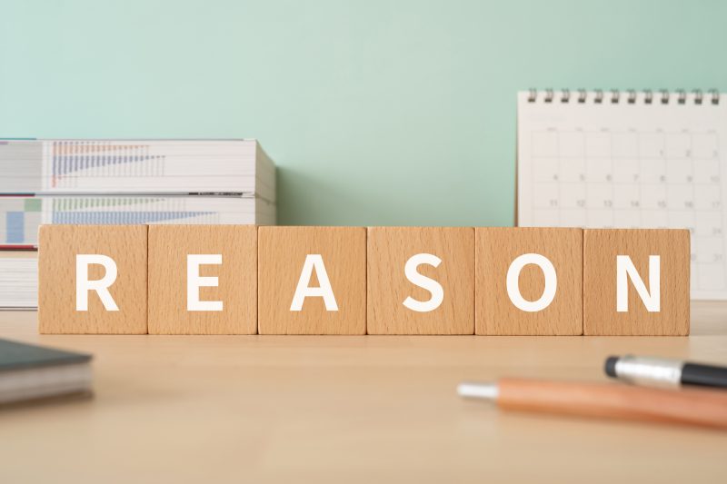 理由/REASON
