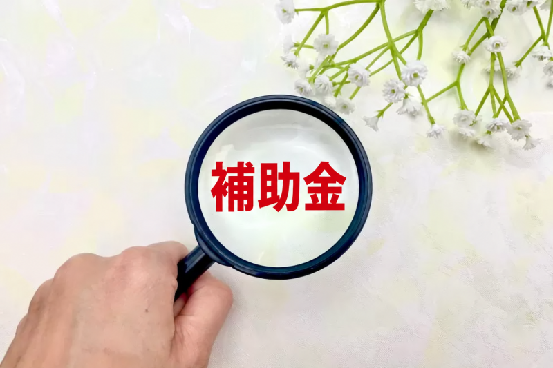 補助金と虫眼鏡